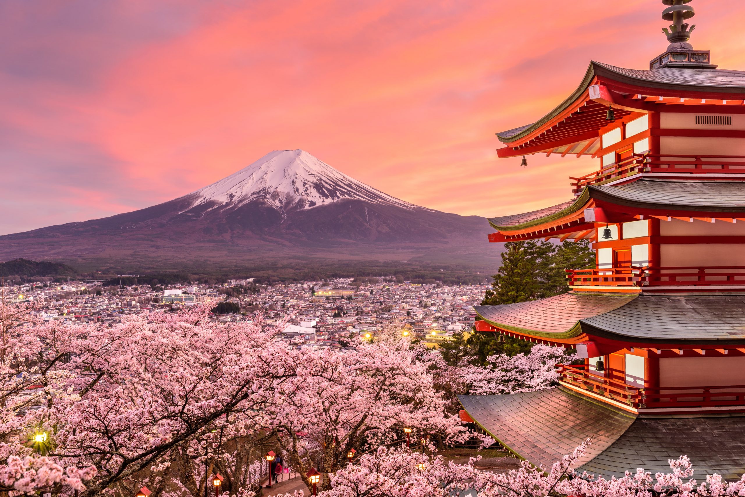 Japan & Mount Fuji in Bloom