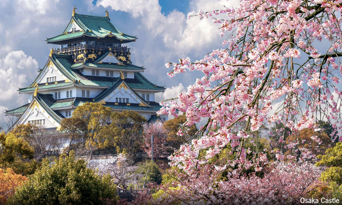 Japan Highlights: Tokyo, Kyoto & Beyond